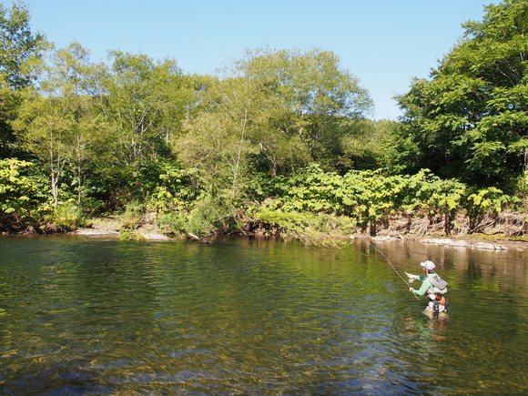 d0156298_72511.jpg