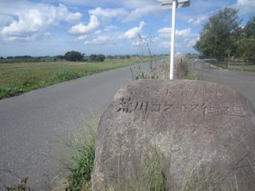 a0117599_2217487.jpg