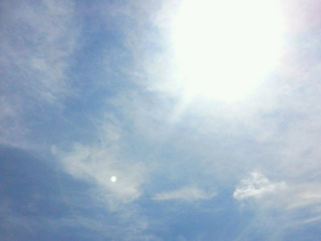 晴れ晴れ日曜日_c0140599_11433611.jpg
