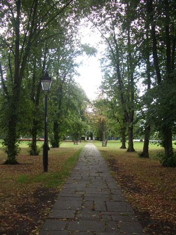 f0188600_774688.jpg