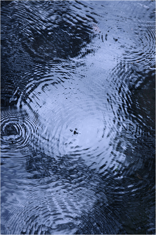 e0031502_13243726.jpg
