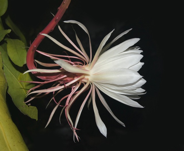 e0039703_013914.jpg