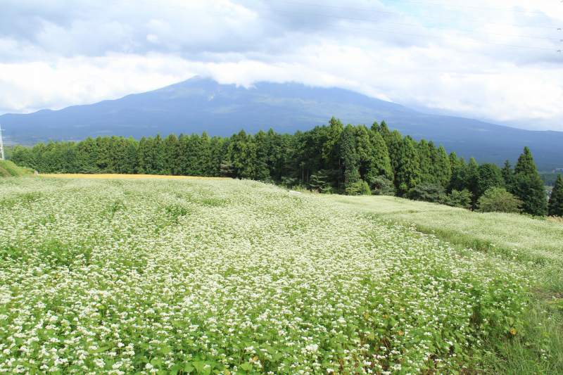 a0188405_16585358.jpg