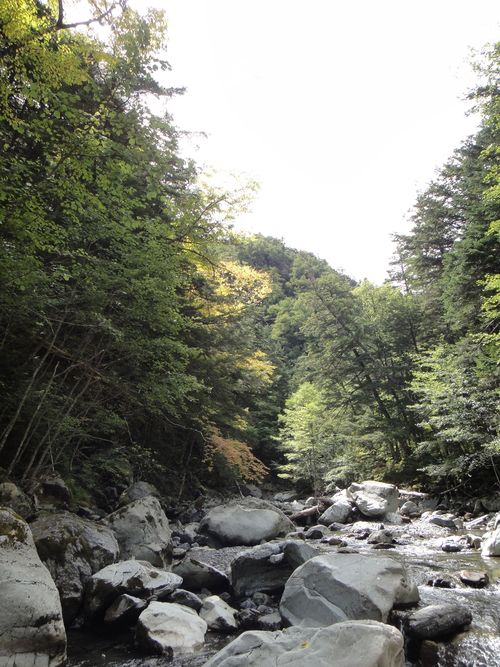b0172805_2242398.jpg