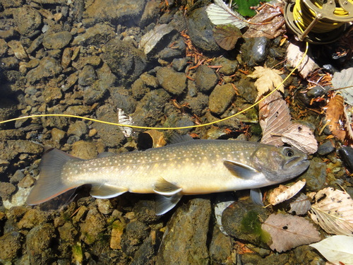 b0172805_2253045.jpg
