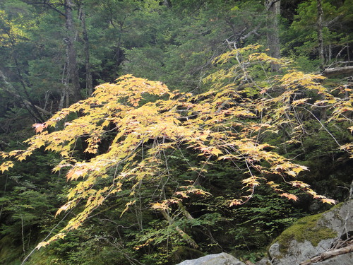 b0172805_2262369.jpg
