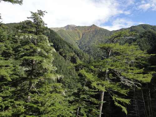 b0172805_238619.jpg