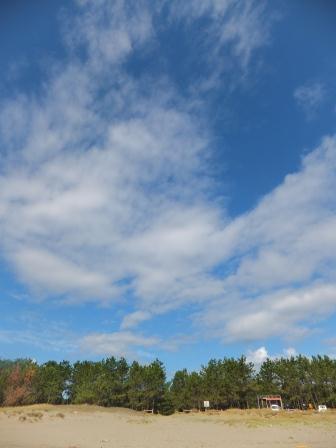 f0048405_1584765.jpg