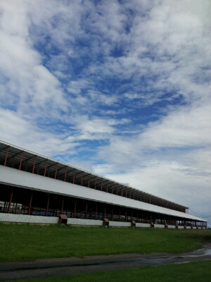 a0164408_9413828.jpg