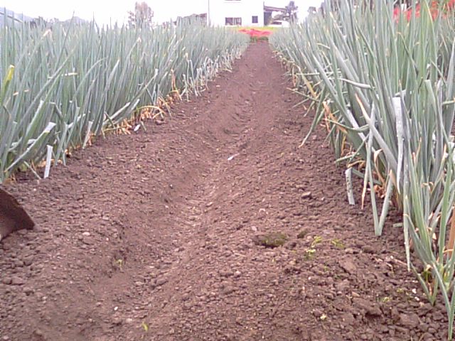 f0231709_1118912.jpg
