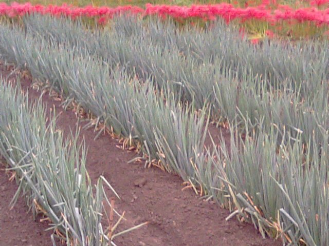 f0231709_1124233.jpg