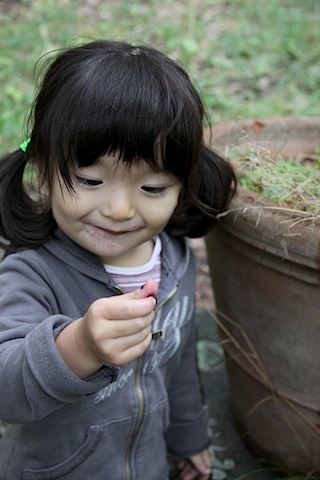 a0142810_6554129.jpg