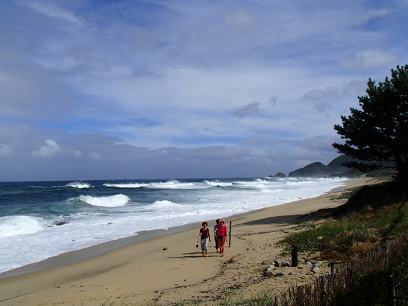 f0219810_20492610.jpg