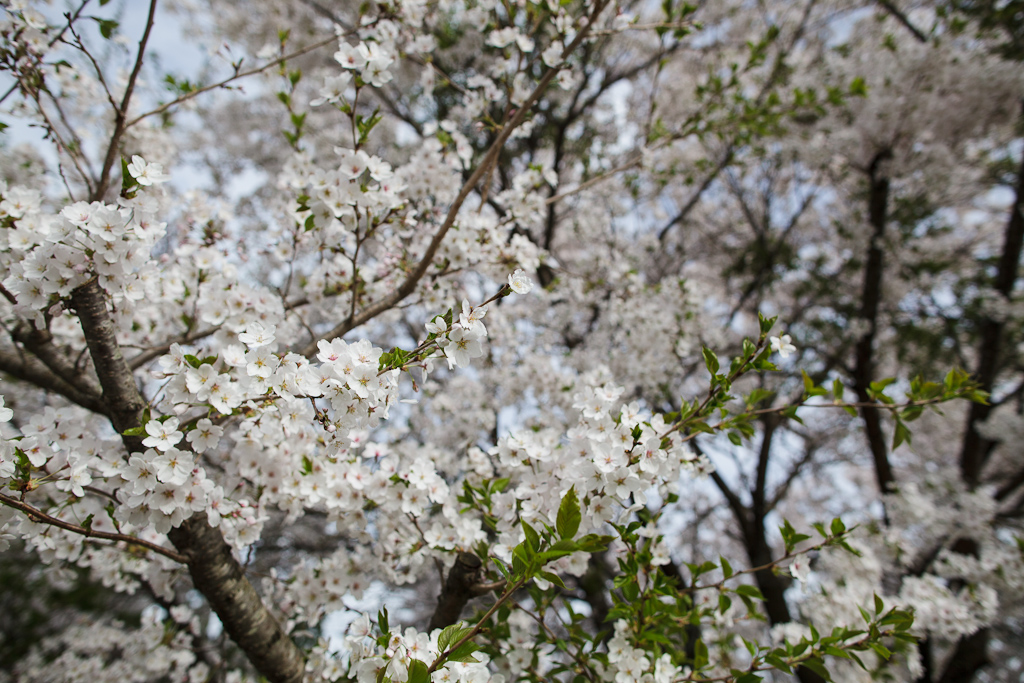 c0073613_2243449.jpg