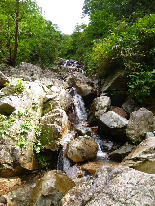 a0236914_1451415.jpg