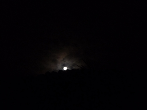 a0236914_1453135.jpg