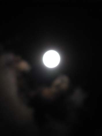 full moon_c0167815_9343727.jpg