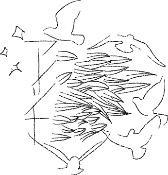 GwaGwa × Ami Yamasaki 「アメツチ」_a0156417_13435954.jpg