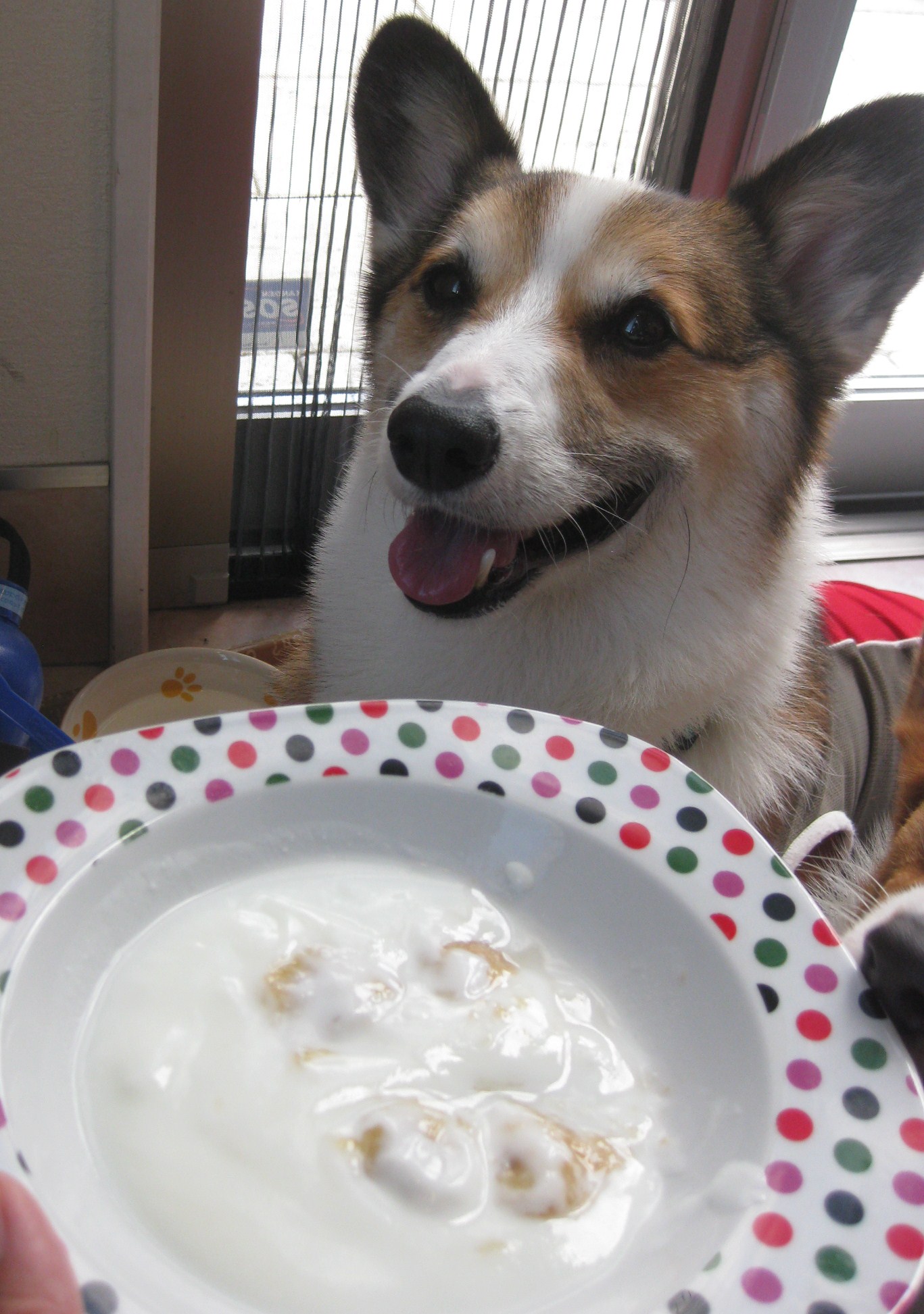 yummy とお出かけ~♪ ②_f0155118_8542078.jpg