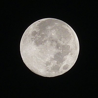 a0260019_3165093.jpg