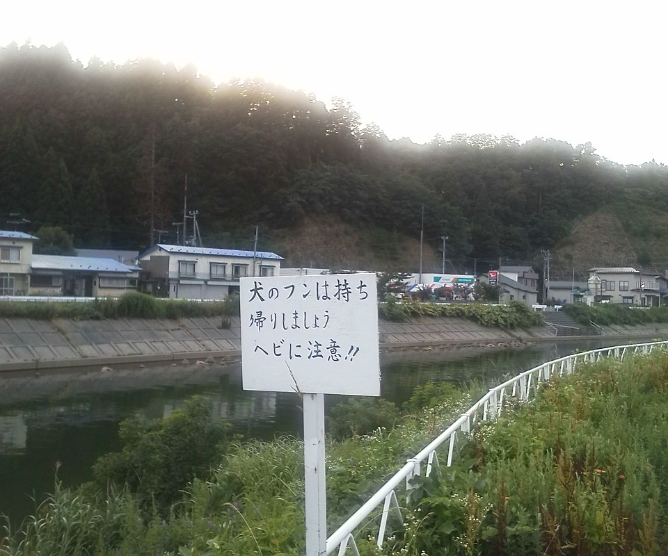 e0218019_13281865.jpg