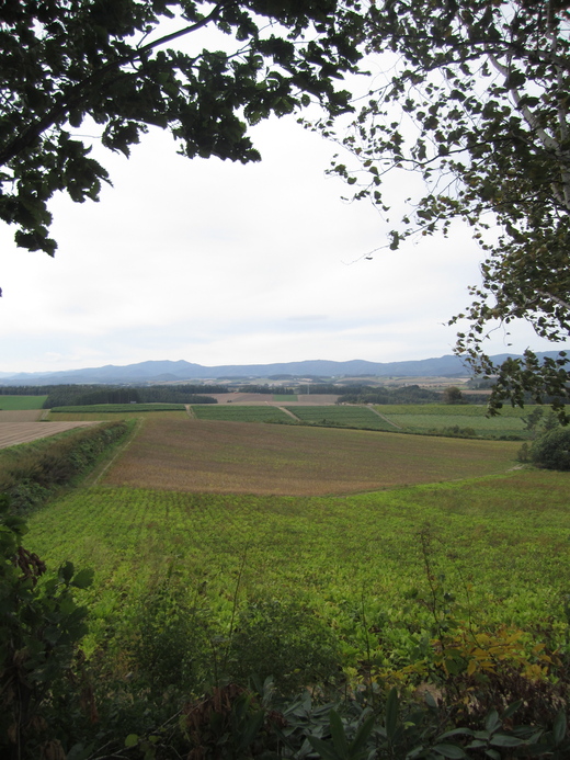 f0207320_2231532.jpg