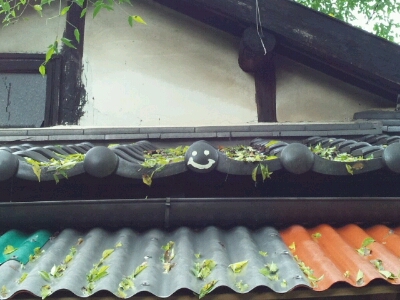 a0137223_15535934.jpg