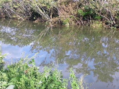 b0259124_2125573.jpg