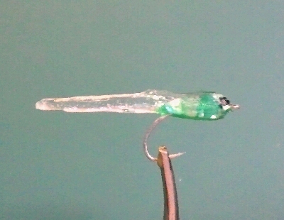 b0259124_2328462.jpg