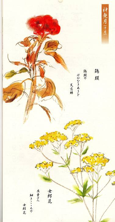 風流堂サンの花歌暦　神無月_d0065324_21382638.jpg