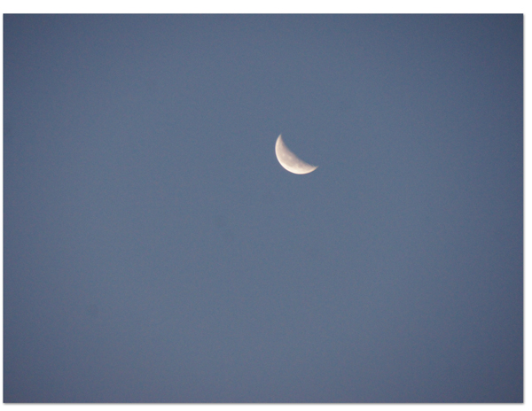 エーゲ海・アドリア海クルーズ(13)　変な日本語：OHAIYO GONZAIMASU_d0210324_2284112.jpg