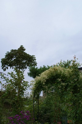 f0170524_8184351.jpg