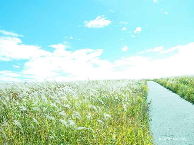 e0242525_2185063.jpg