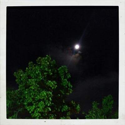 d0249426_15131025.jpg
