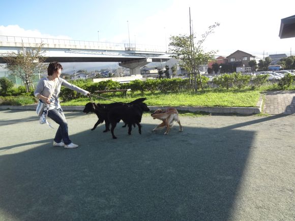 ティティーちゃん、はじめまして♪の巻_c0240829_2210216.jpg