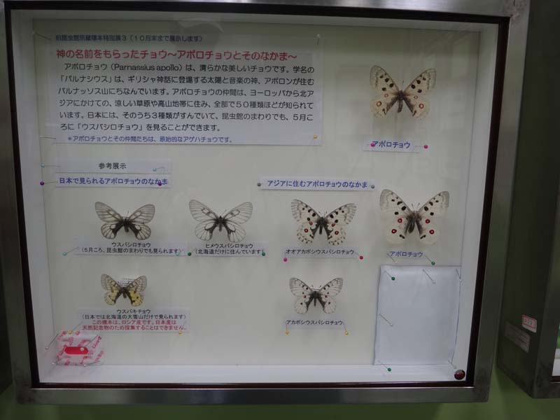 f0177529_152589.jpg