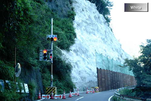 c0227134_7355068.jpg