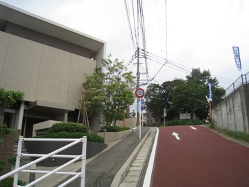 c0077338_629131.jpg