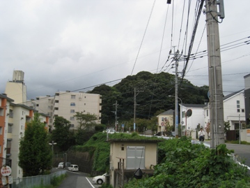 c0077338_6293164.jpg