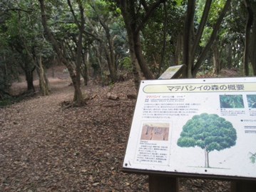 c0077338_630463.jpg