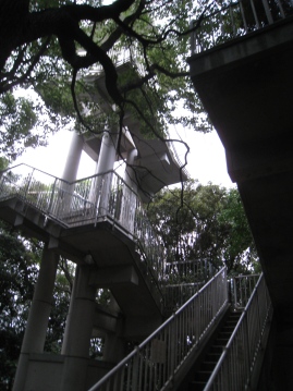 c0077338_6311426.jpg