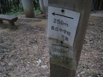c0077338_6312837.jpg