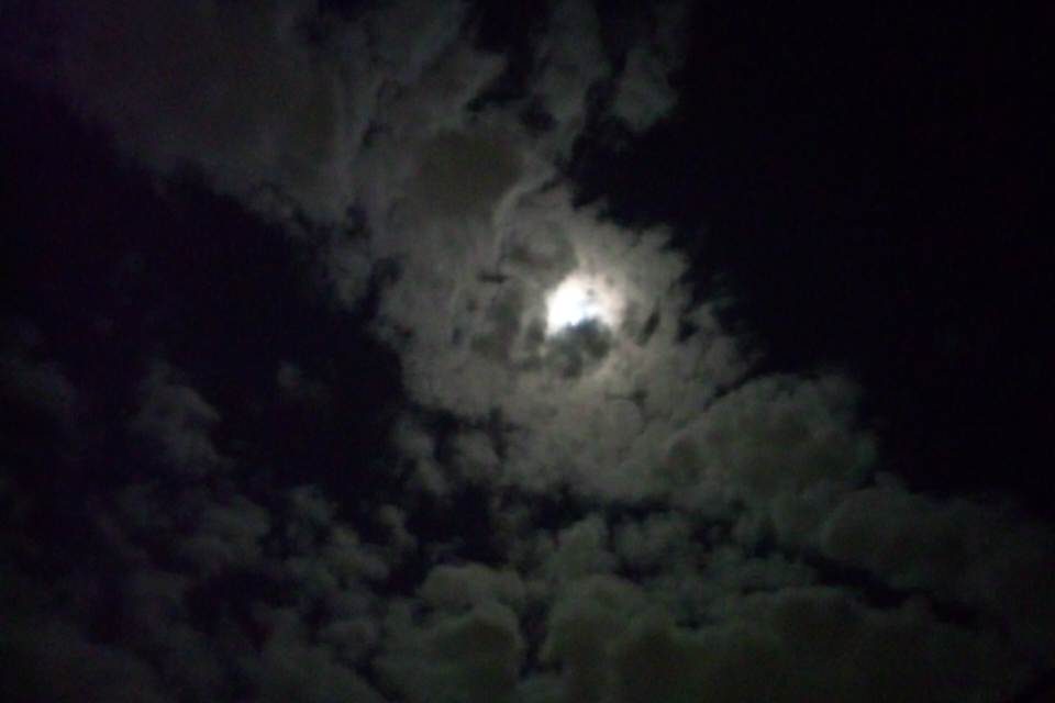 b0102639_073746.jpg