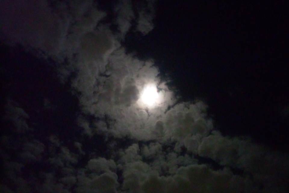 b0102639_07478.jpg