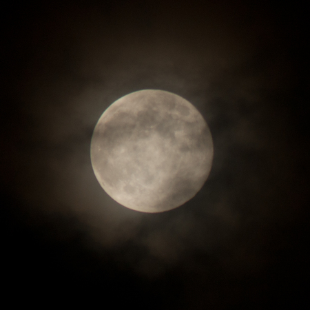 f0174939_927019.jpg
