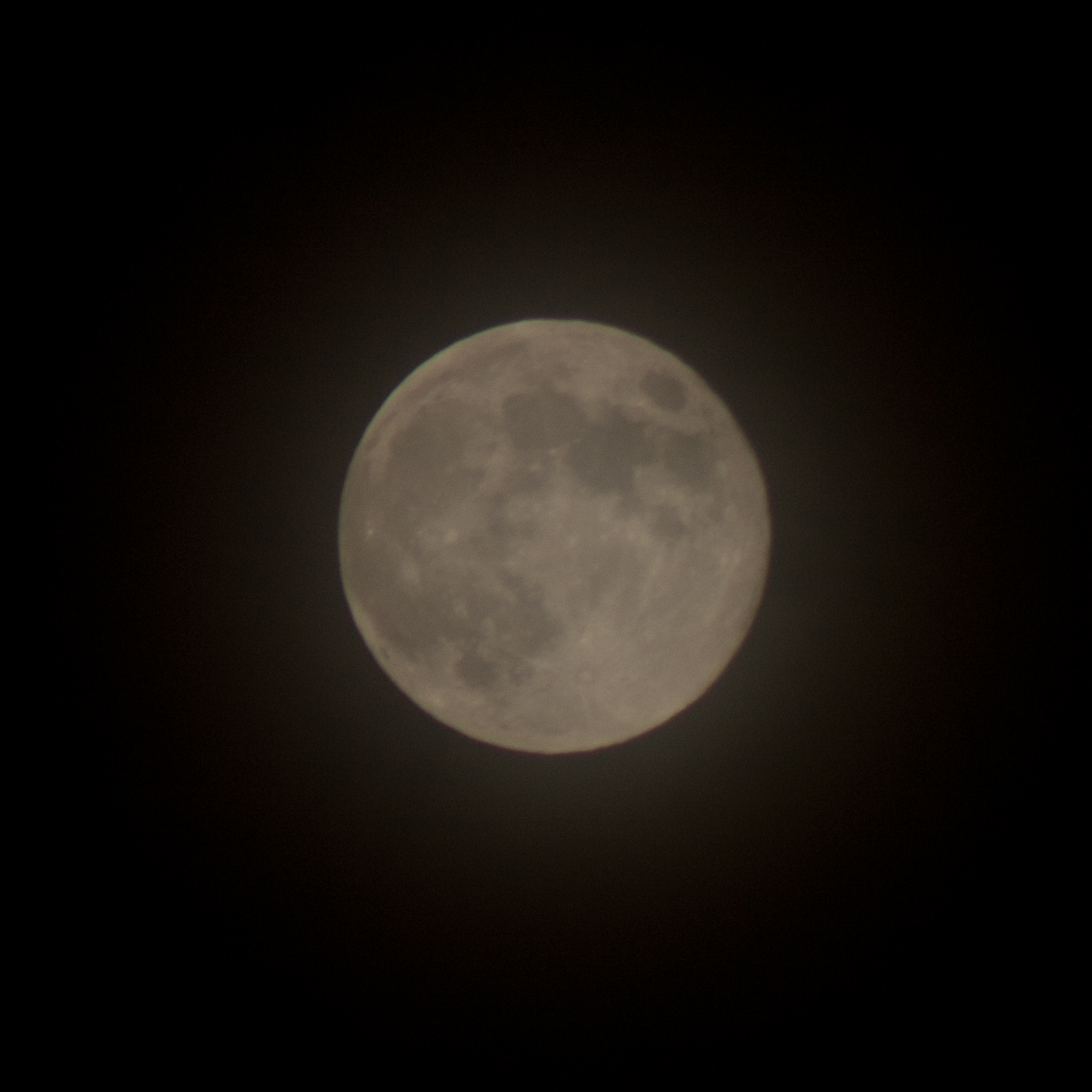 f0174939_9292678.jpg