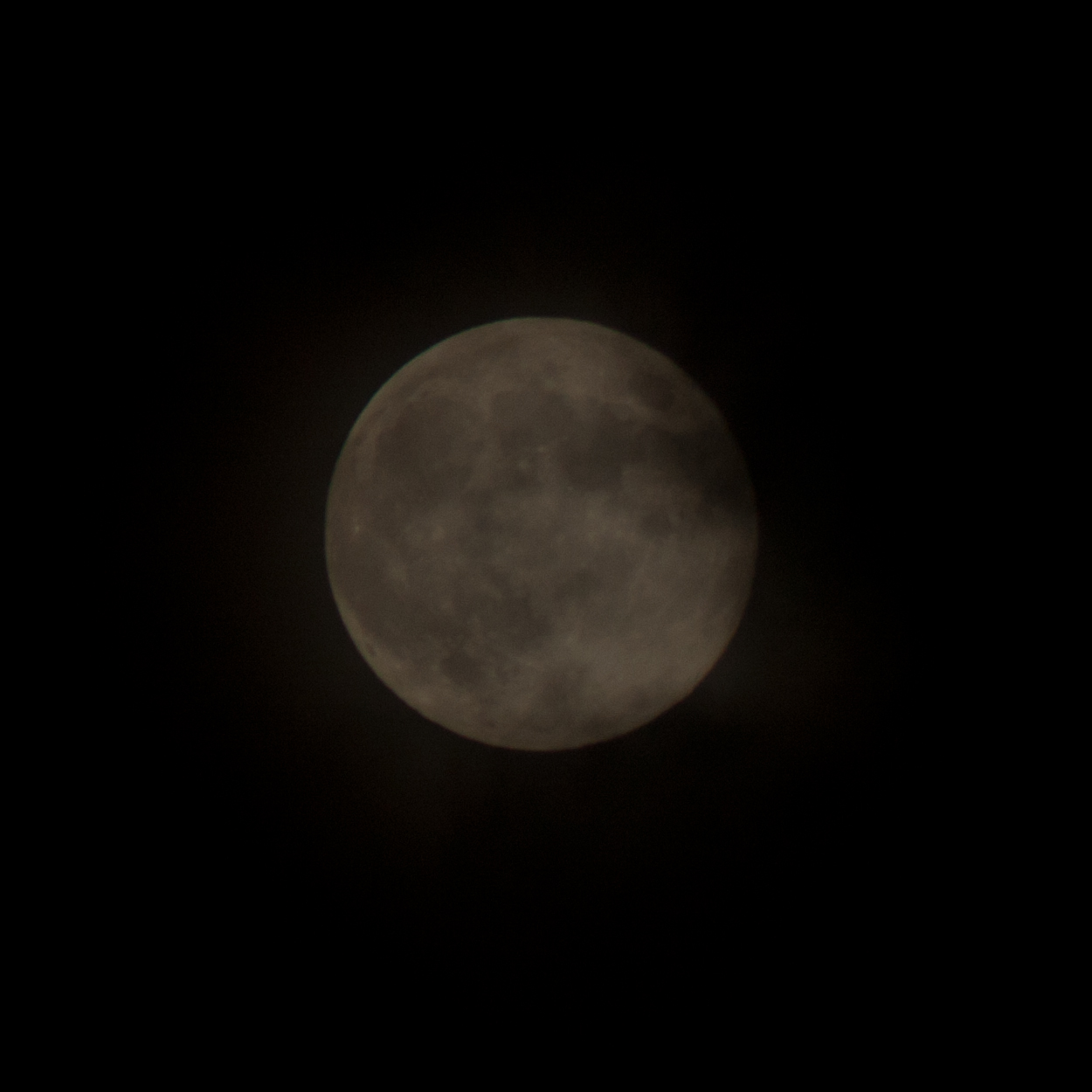 f0174939_9302149.jpg