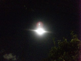 blog:中秋の名月_a0103940_2331894.jpg
