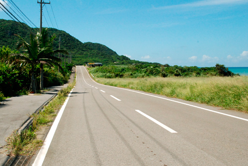 f0209740_1552275.jpg