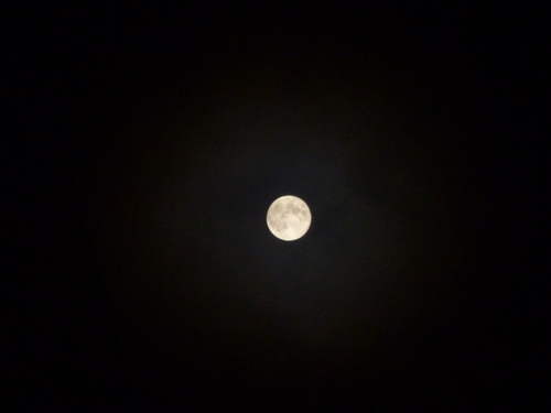 a0297743_17393950.jpg